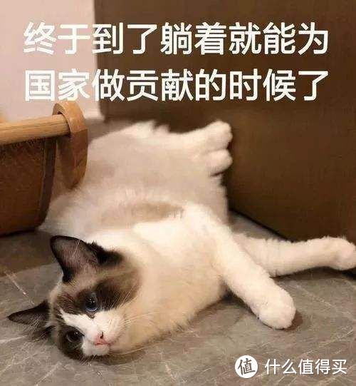 长篇攻略：switch健身环大冒险值得入吗？全家健身真的靠谱吗？舞力全开买数字版？你该知道的一切！